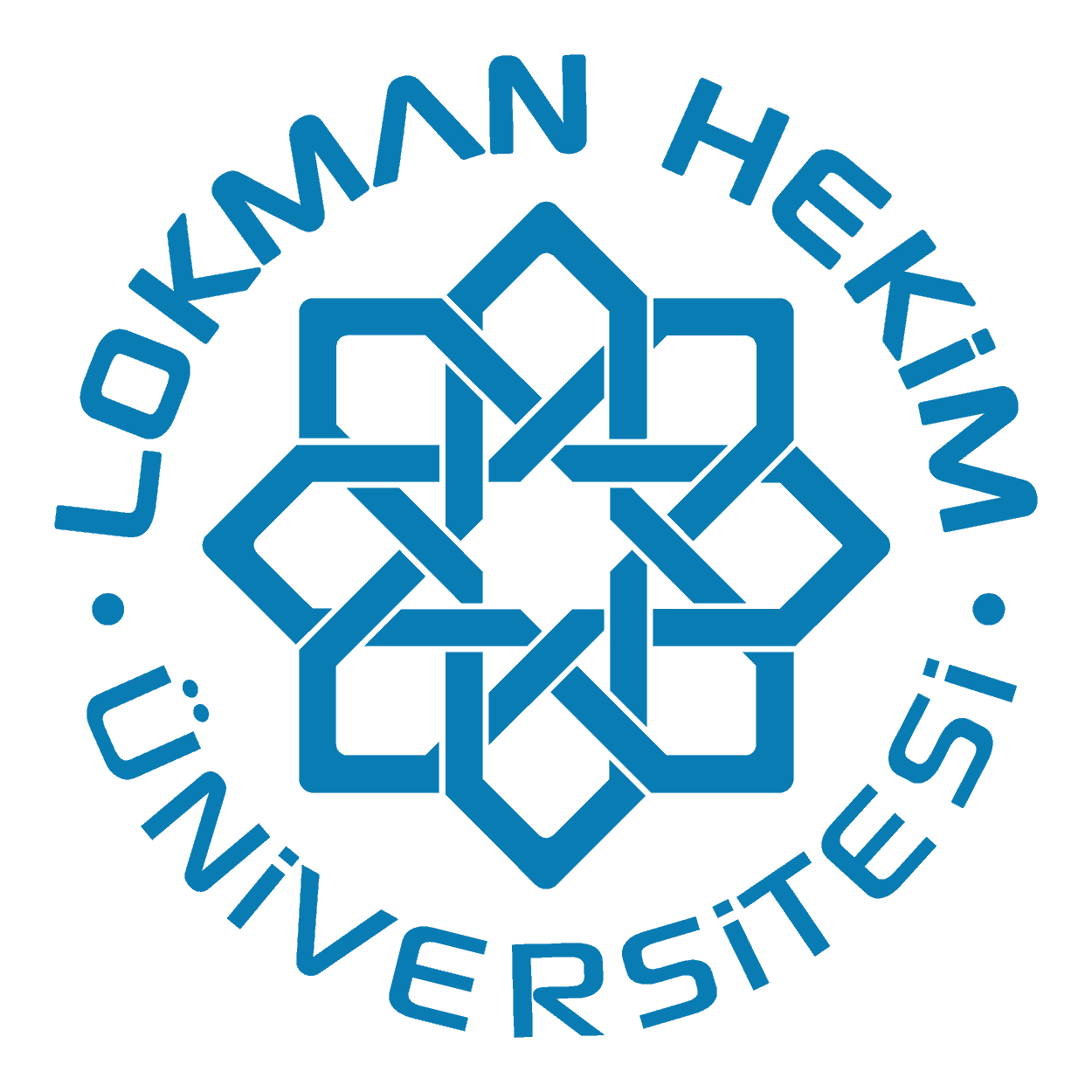 لقمان حكيم-Lokman Hekim University